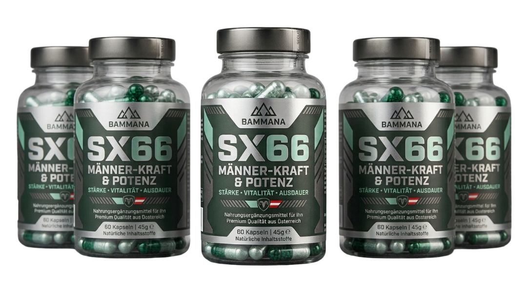 F&uuml;nf Dosen SX66 als gr&ouml;&szlig;eres Paket